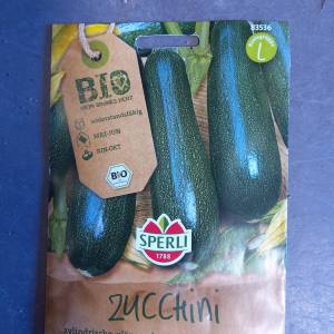 Bio Zucchini Dunja
